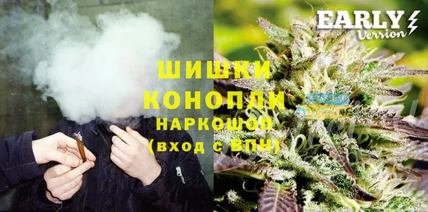 сатива Балахна