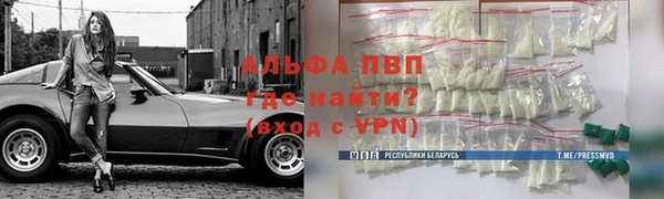 сатива Балахна