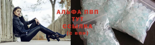 сатива Балахна