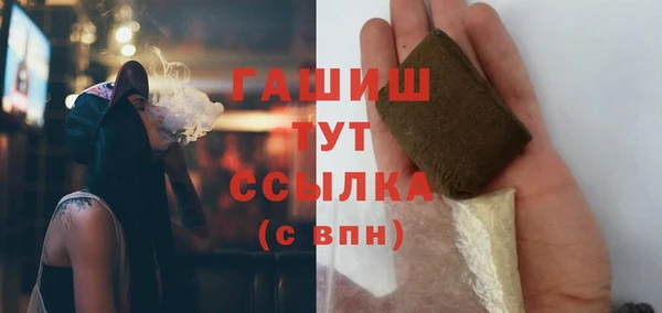 сатива Балахна
