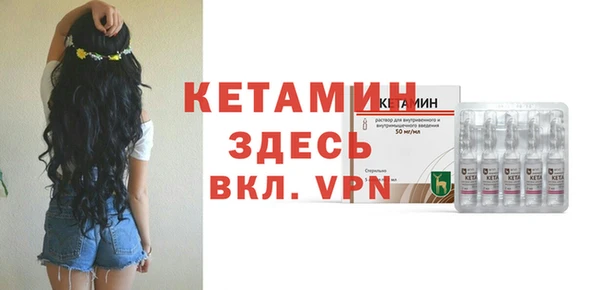 сатива Балахна