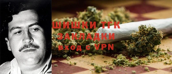 сатива Балахна