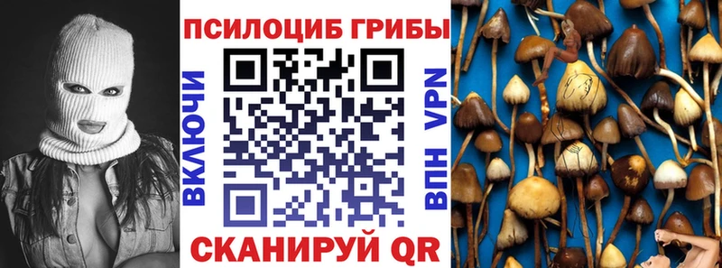 Галлюциногенные грибы MAGIC MUSHROOMS  наркота  Рыбинск 